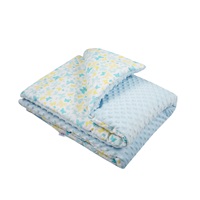 Gyermek pléd Minky New Baby kék 80x102 cm