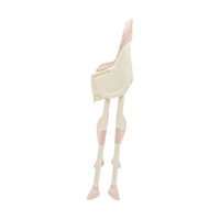 Etetőszék Baby Mix Nora dusty pink