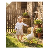 Baba body nyomtatással New Baby Libák